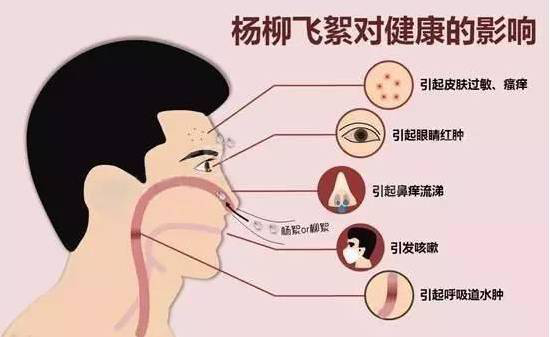 柳絮過敏讓你鼻子發(fā)癢，空氣堡新風系統(tǒng)讓你舒爽