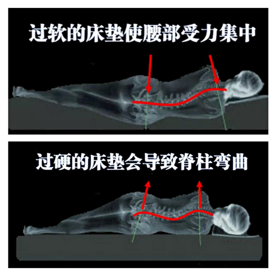 康麗萊：優(yōu)質(zhì)的睡眠從找到適合自己的床墊開(kāi)始